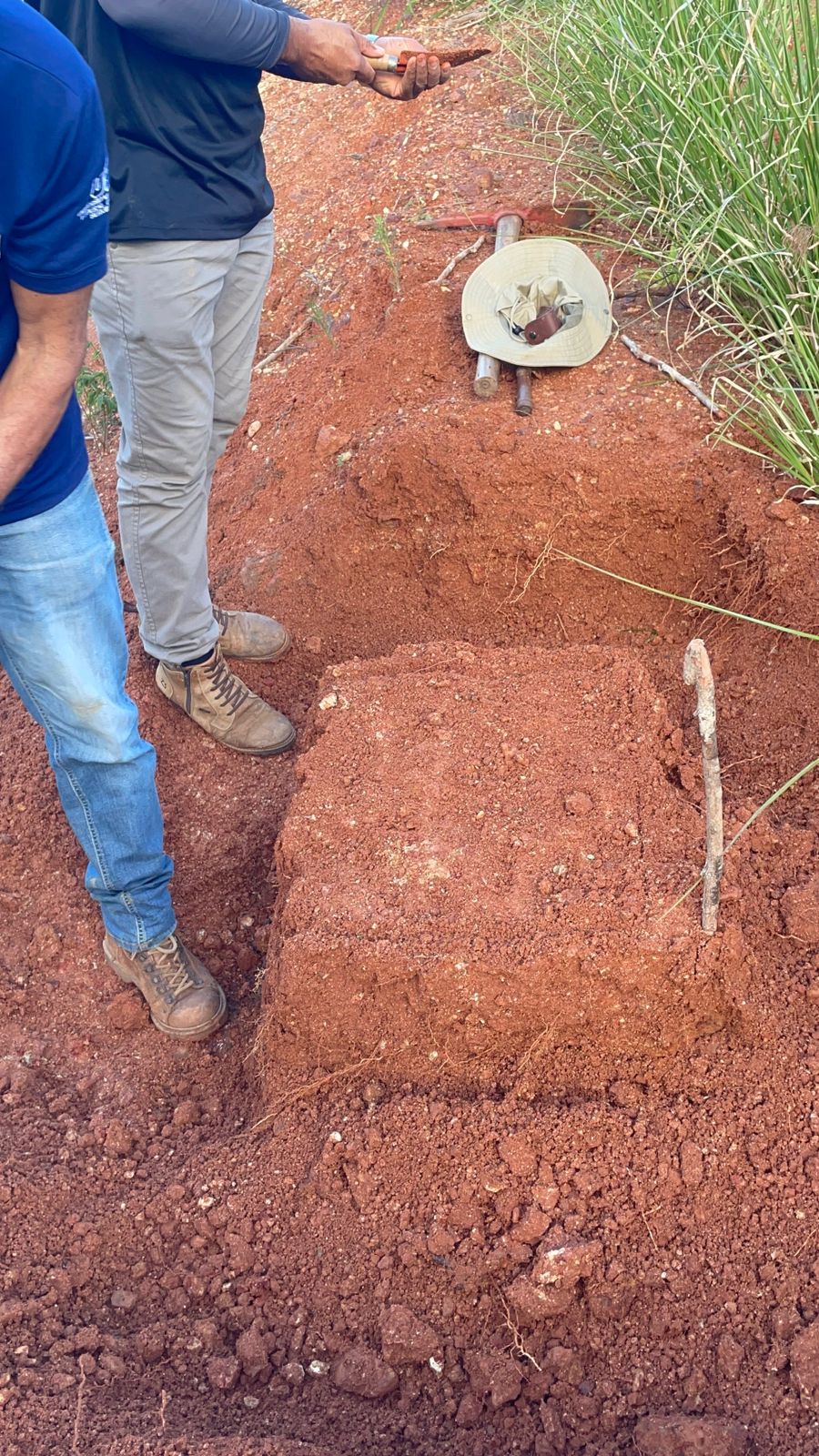 Bloco de solo cisalhado mostrando diferenciação de horizontes